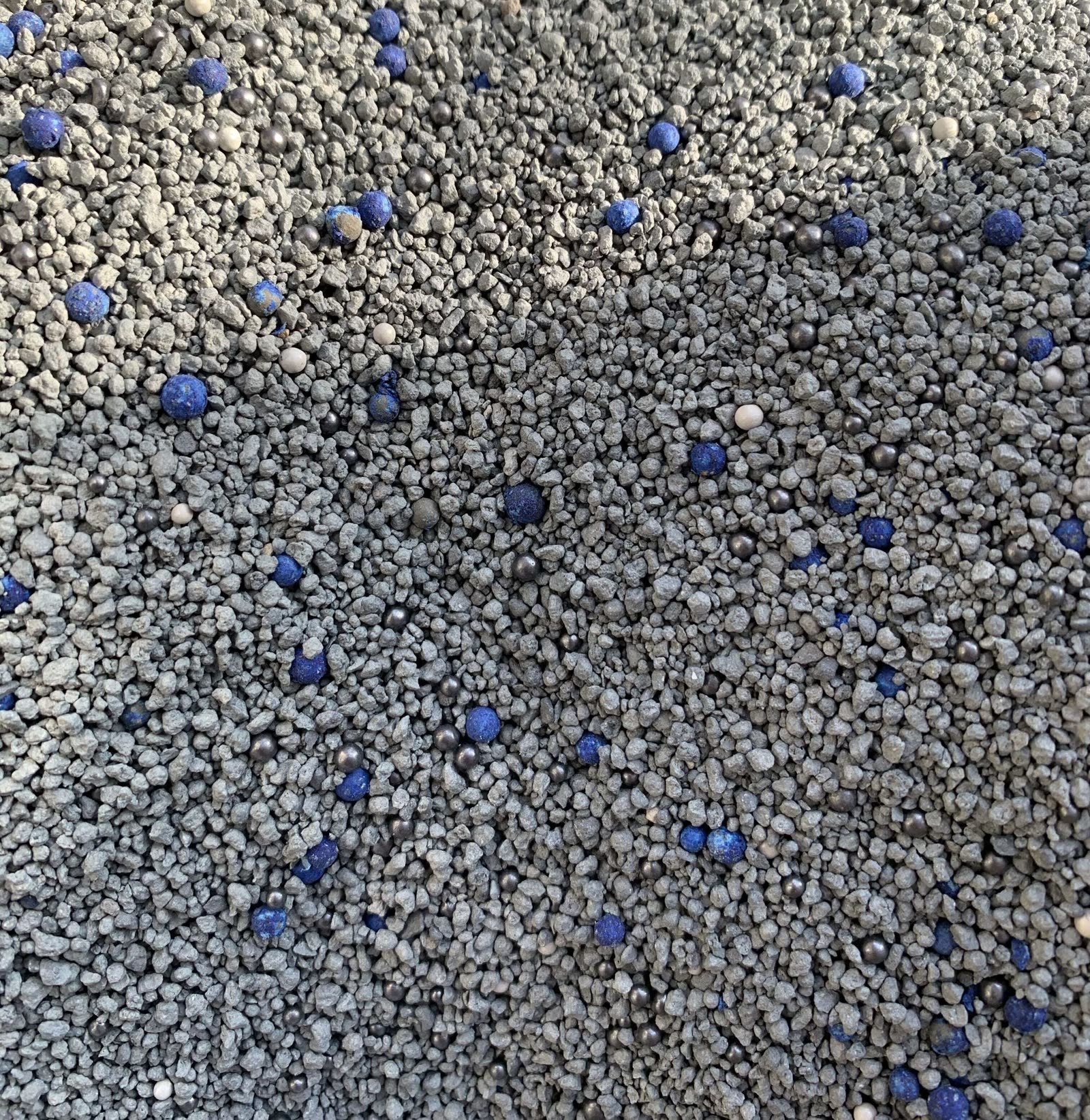 Blue Shield 프리미엄 벤토나이트